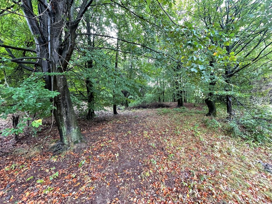 Ocazie Investitie! Teren intravilan in pădure-Poiana Lazului-Breaza PH