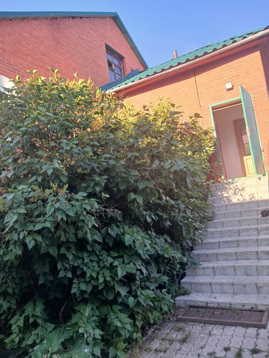 Сдам Коттедж в Боровом