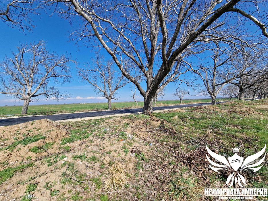 Под наем земя, парцел, паркинг 2300кв в гр.Асеновград към с.Козаново