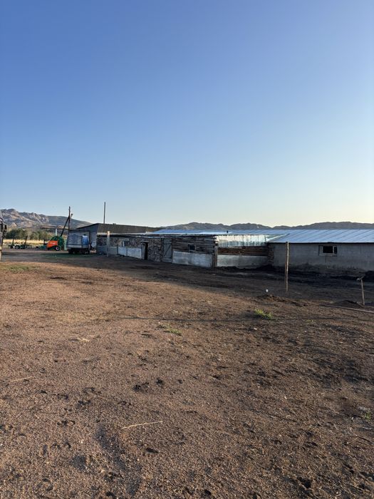 Продам крестьянкое хозяйство