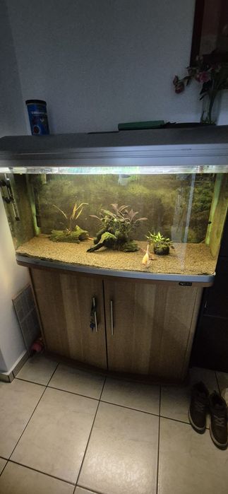 Acvariu Aqua one 220 Litrii