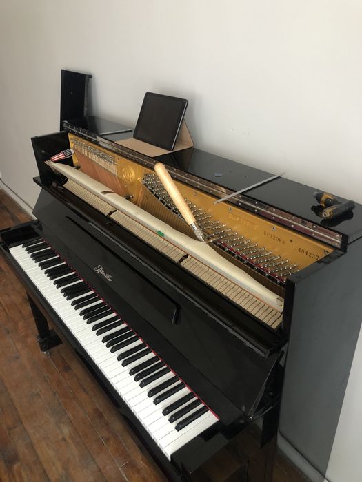 Профессиональная настройка Фортепиано.