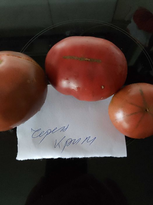 Семена за домати и други зеленчуци