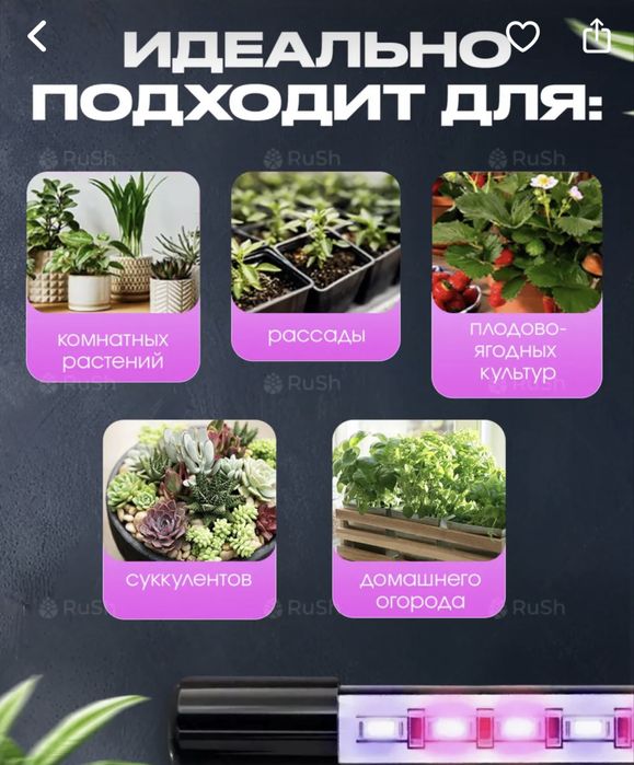 Продам Фито лампу