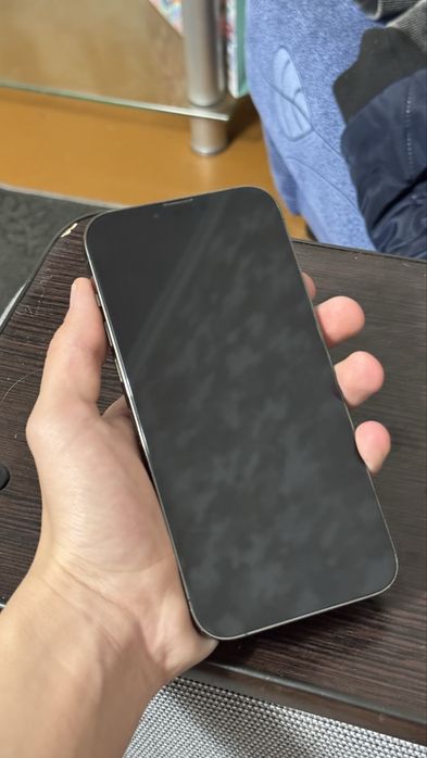 iPhone 13 Pro Max