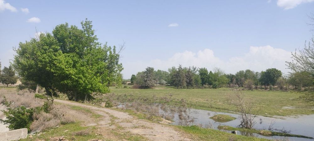 Продается земля 8.2 гектара Таш Море