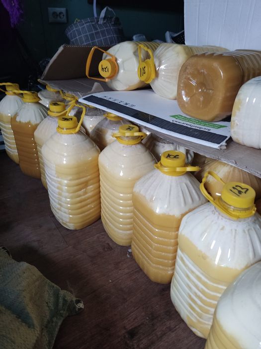 Продам натуральный горный мёд