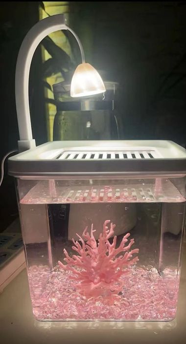 Аквариум за 8000 тенге