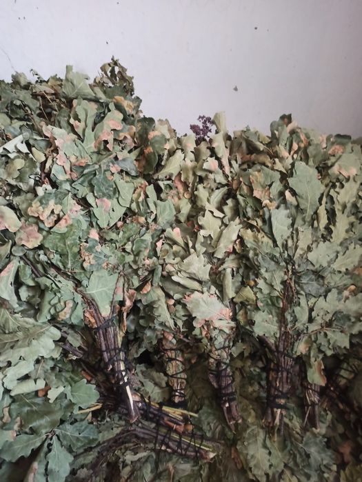 Веники дубовые,для бани