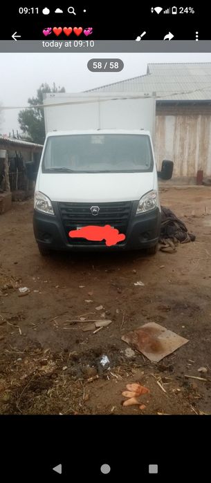 Gazel nekis kamerchiskiy ideal xolatda