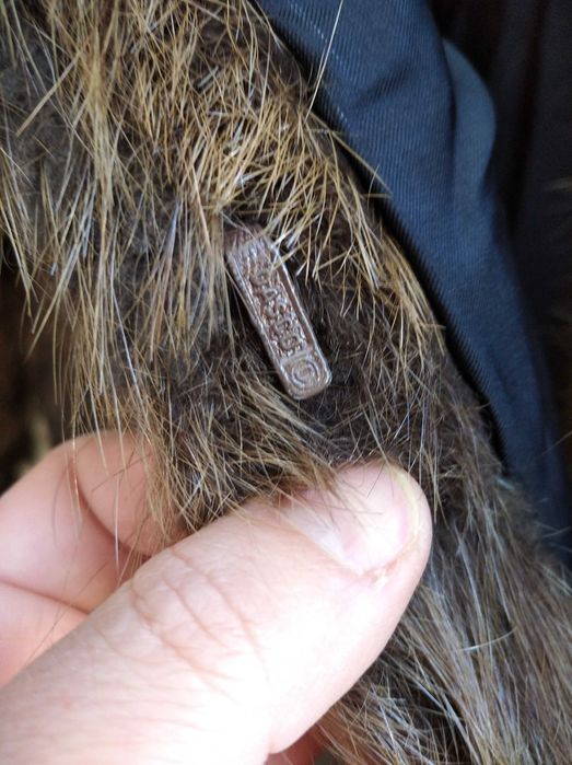 Продавам дамско палто