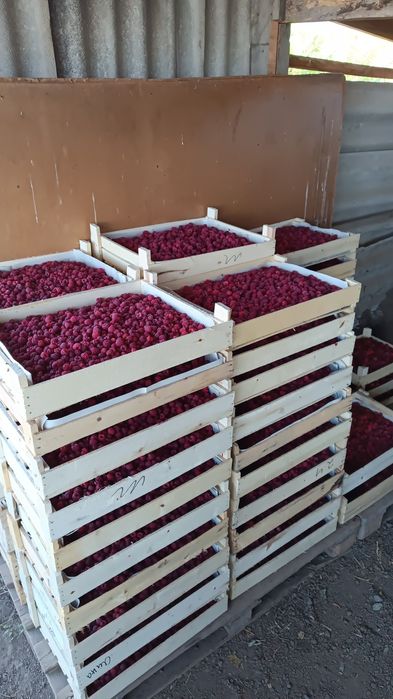 Продам Землю кха