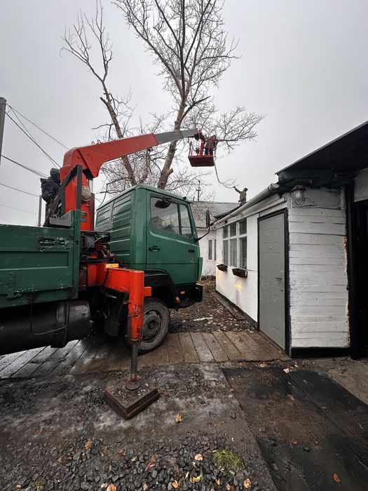 Услуги манипулятора