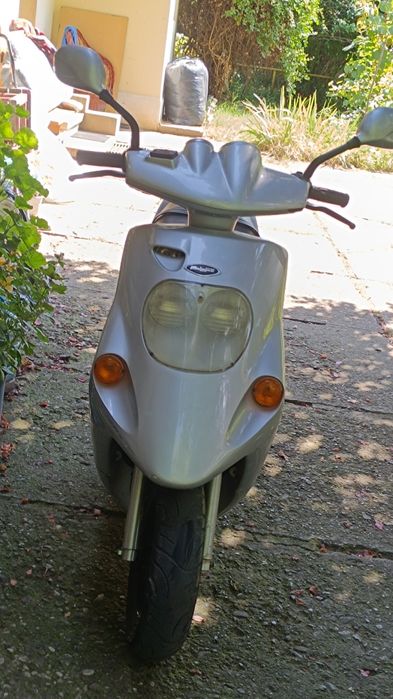 Vând malaguti f10