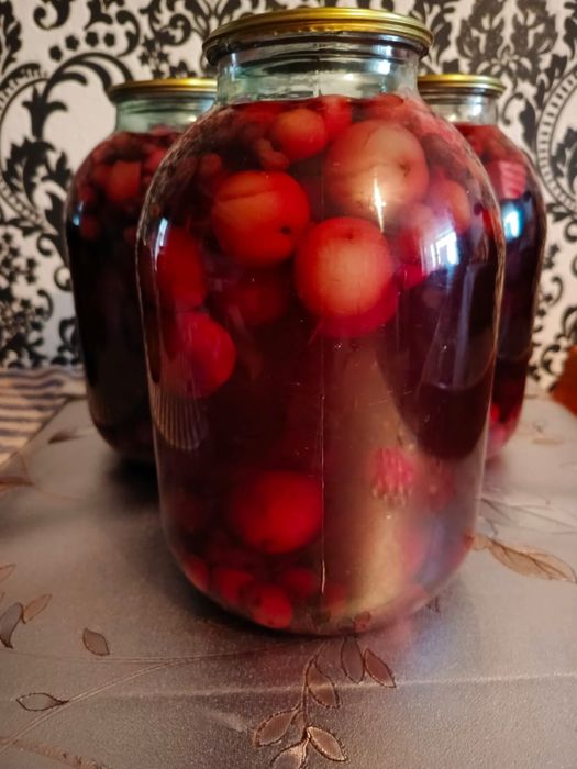 Продам домашний свежий кампот