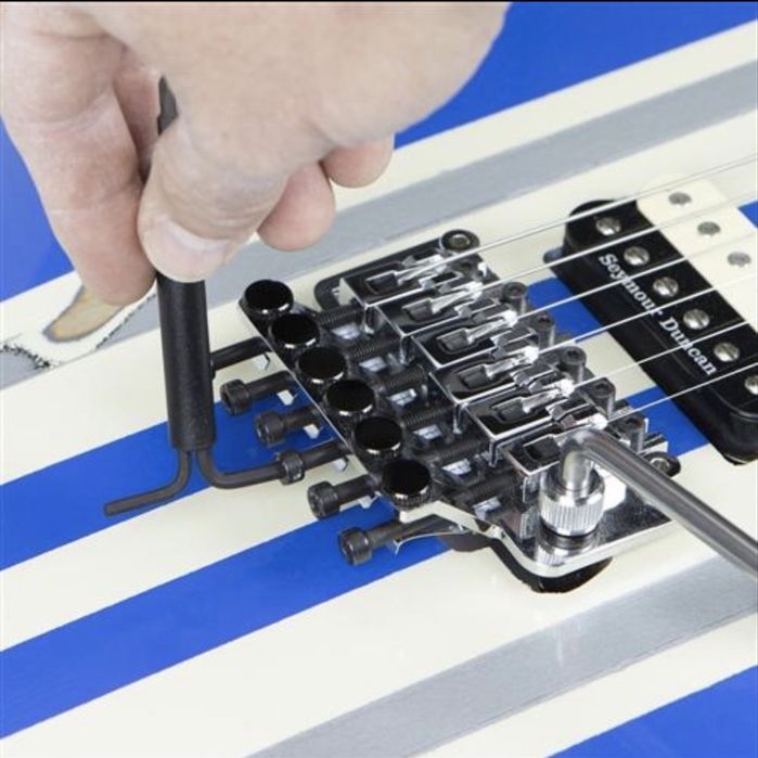 Setup chitare electrice Floyd Rose/ Double Locking Tremolo Floating Bridge-Judetul Bacau