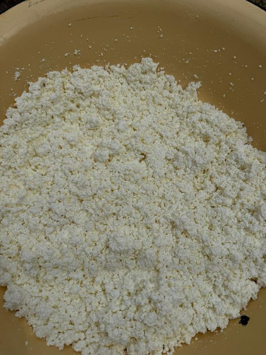 Продам домашний творог