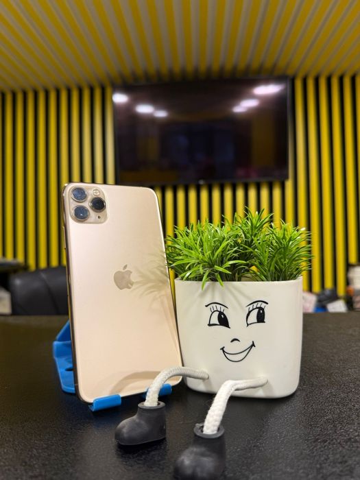 IPhone 11Pro Max,256GB, 100%