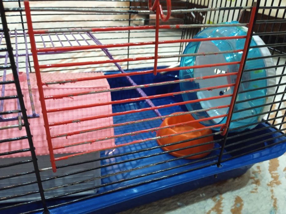 Клетка для хомяков.