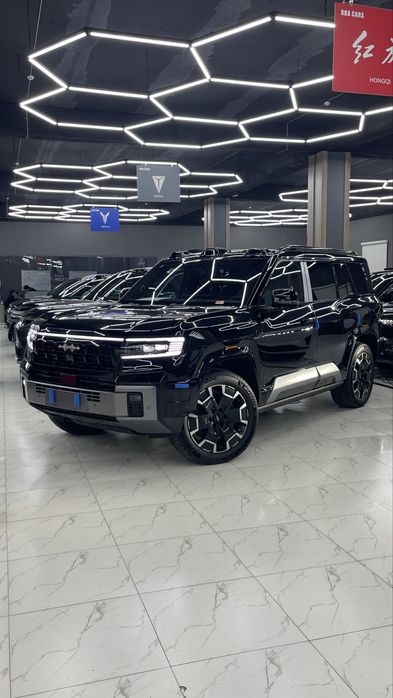 BYD Другая 2025 — 5