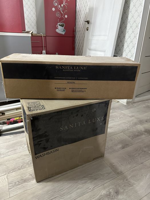 Раковина тюльпан