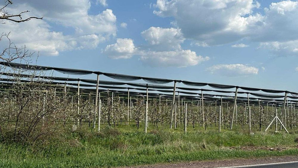 Teren pentru Investitii - Energie regenerabila, Livada, Plantatii!