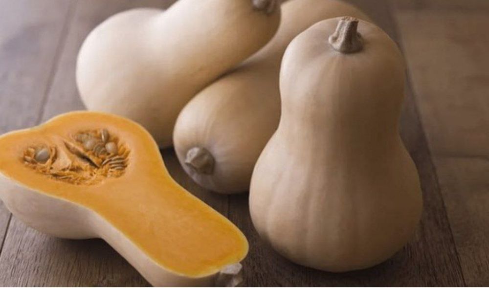 Гантел мускат салла gantel muskat salla oshqovoq urugʻlari bor