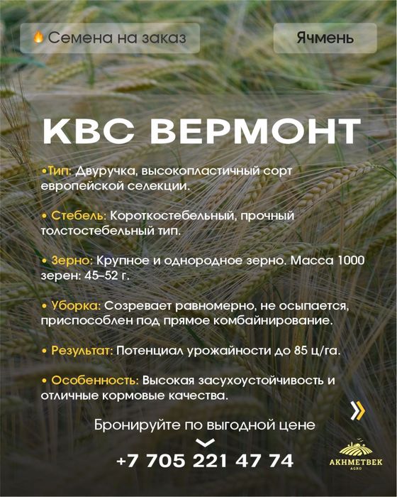 Семена Ячменя !!!