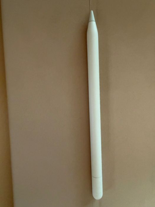 Apple Pencil (USB-C)