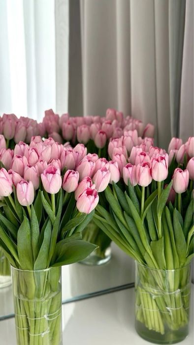 Тюльпаны большие бутоны | Астана