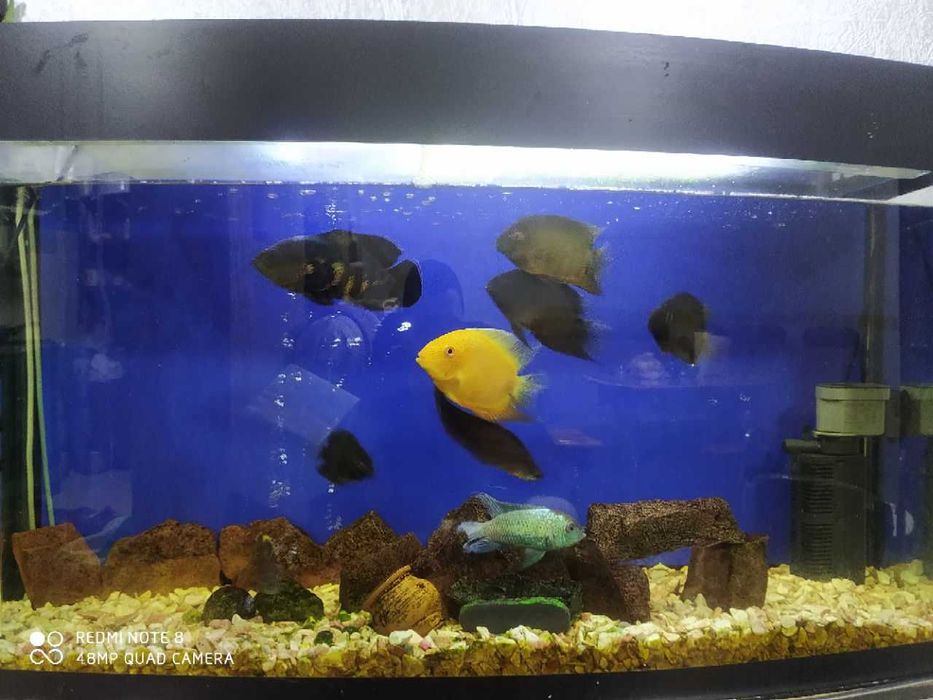 Продается аквариум 180 литров в полном комплекте