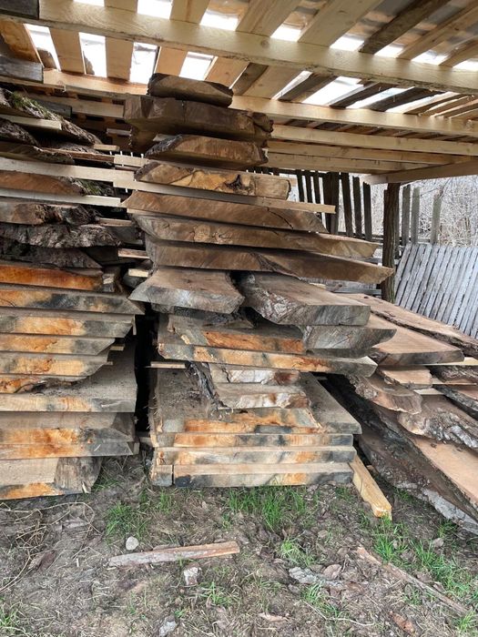 Cherestea nuc si plop