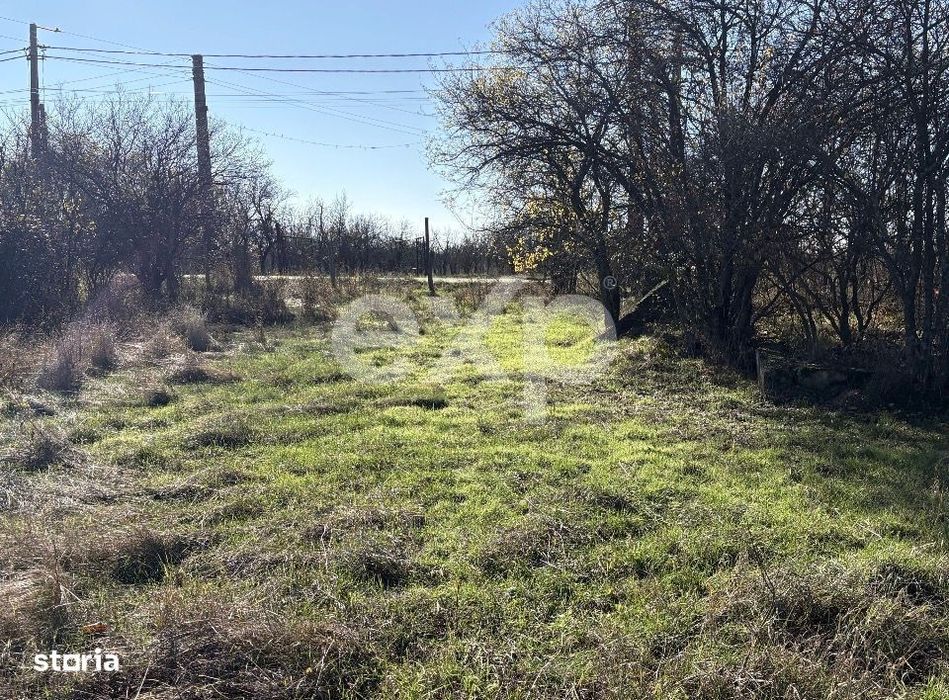 Teren langa padure, liniste, aer curat la 11 km de Pitesti
