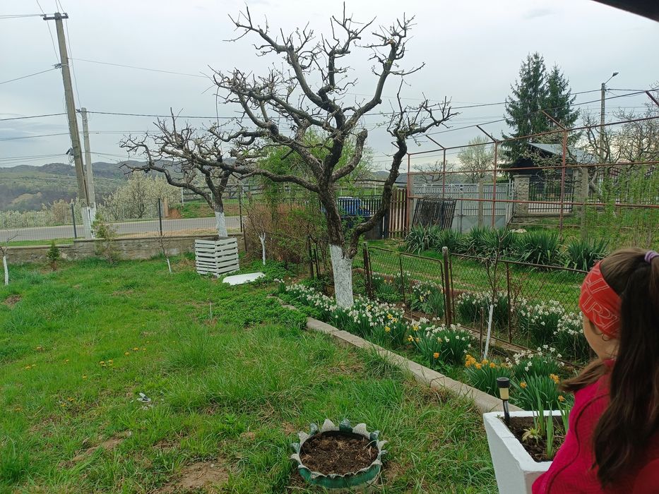 Vând casă Poienarii de Muscel