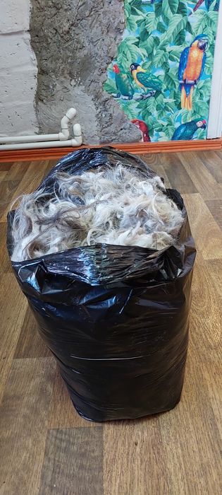 Шерсть собачья ( Бобтей)л