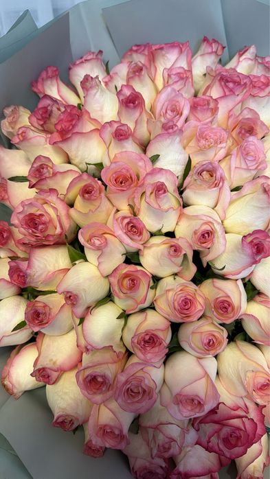 Роза 101 продается срочно