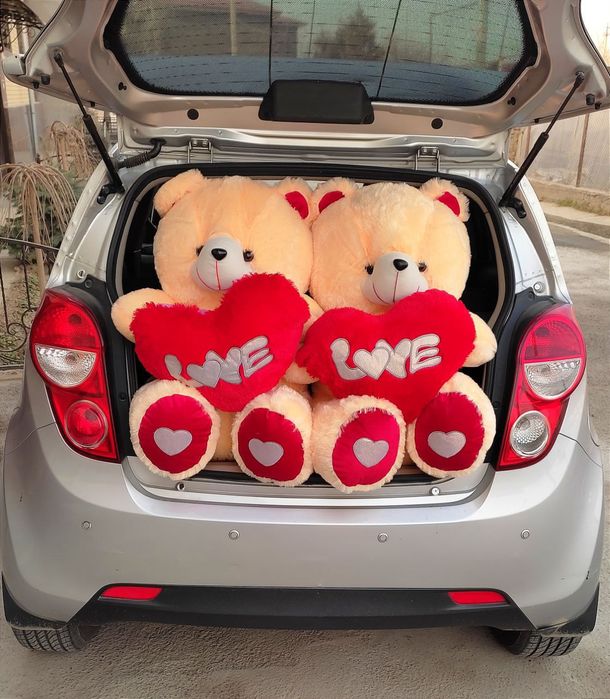 Teddy va boshqa yumshoq oʻyinchoqlar arginal