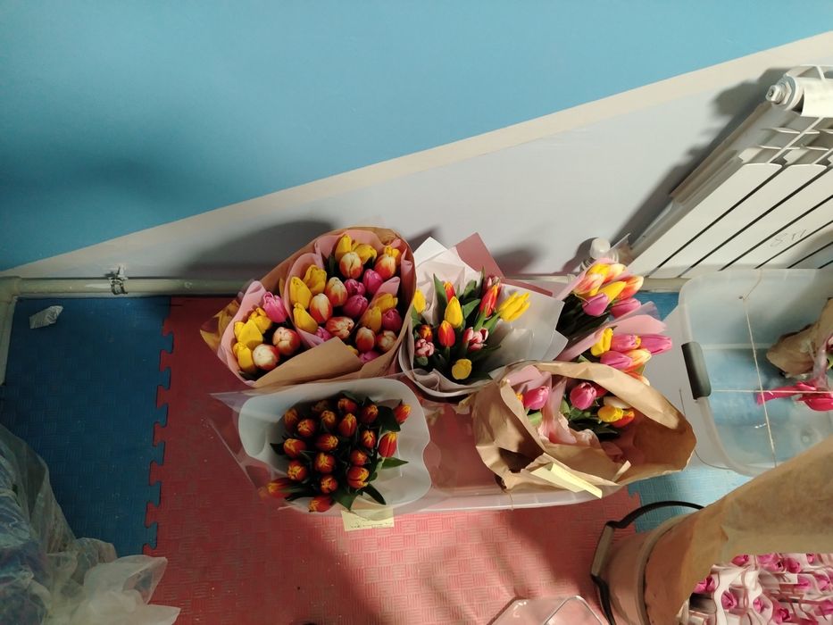 «Тюльпаны в продаже»