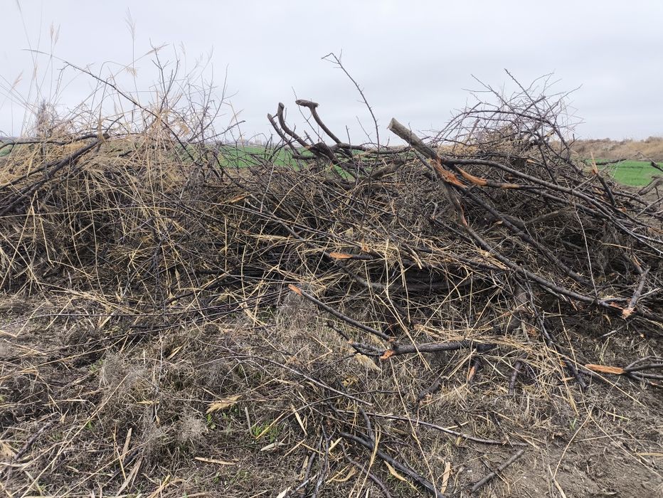 Утин, урикники , хар хили бор