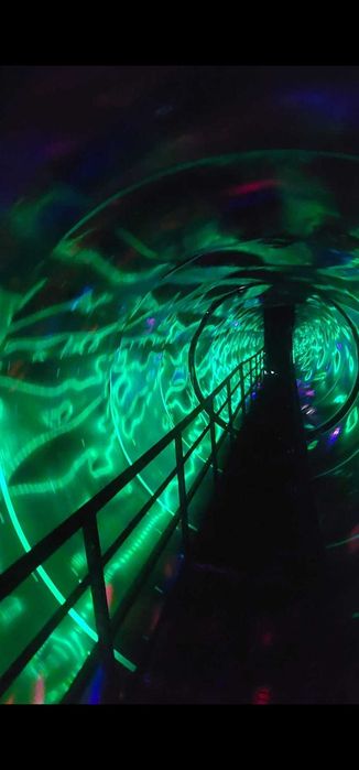 Продается прибыльный атракцион Vortex!