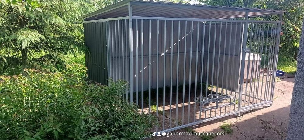 Țarc Padoc Caini Masive