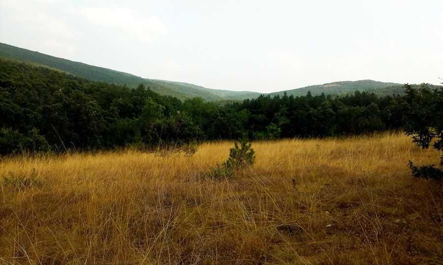 Продава се Земеделски имот в Тополовград -  кв.м за 744 €/дка - Снимка #5