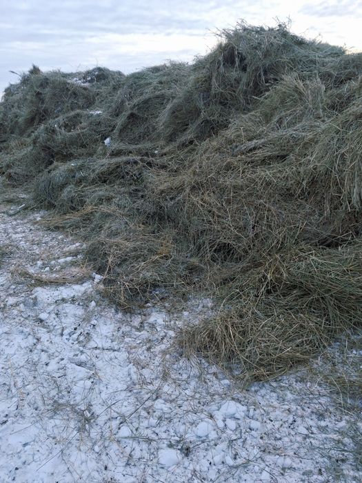 Продам сено в тюках
