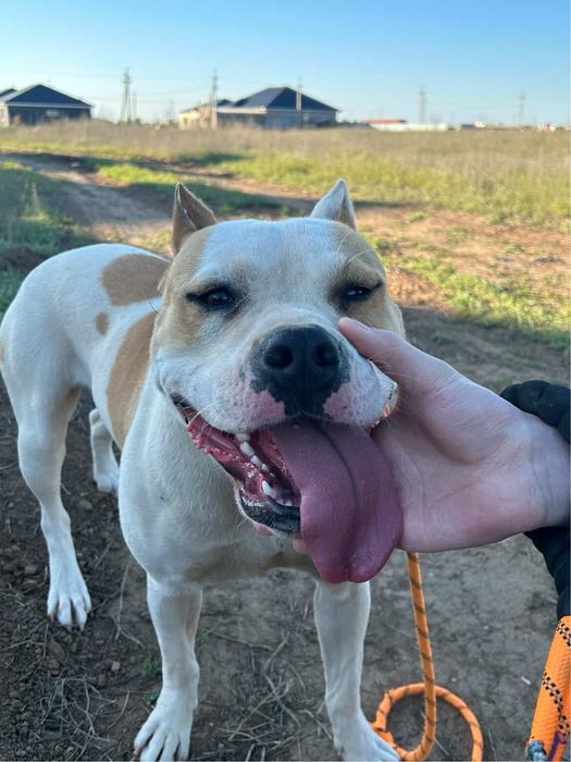 Ищем кабеля для вязки