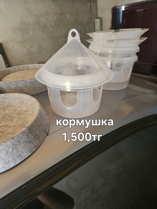 Голуби в удобстве