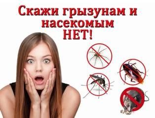 ДЕЗИНФЕКЦИЯ! Помещение от всех видов вредителей и от вирусов.