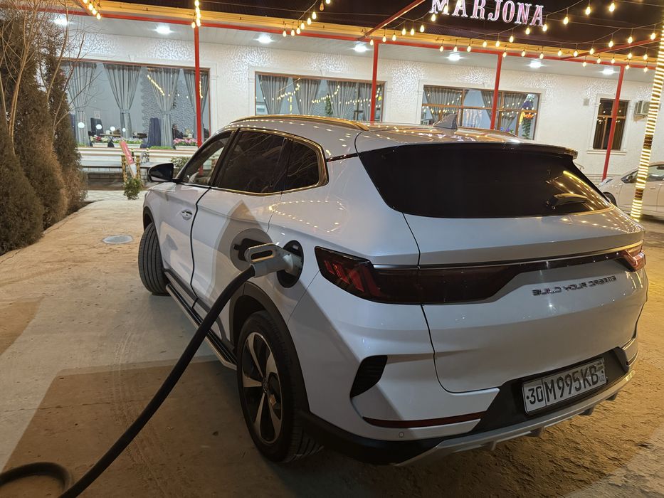 BVD song plyus 2022 kraska tozza 92% yomkist