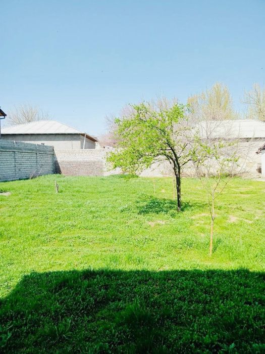 Yashnobod tumanida yer sotiladi