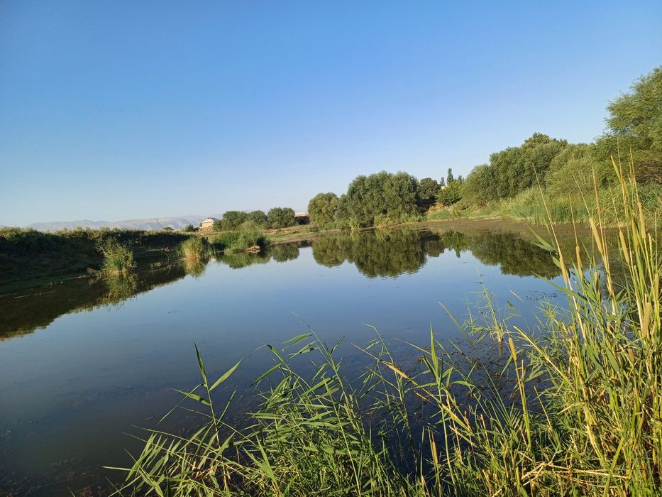 Баликхона узок муддатли ижарага берилади.