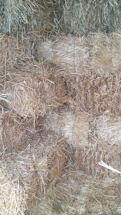 Baloț de paie de vânzare